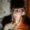 Avatar photo