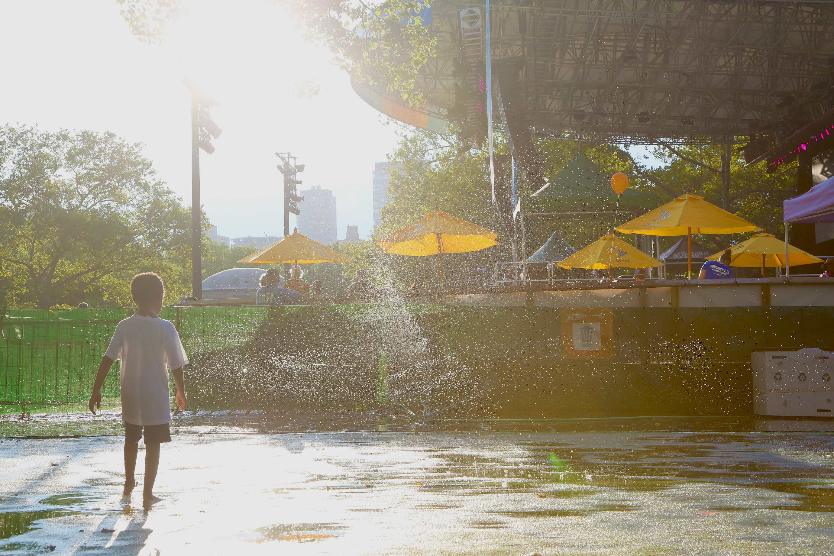 8.14.2016_Elevtr_SummerStage_OkayAfrica_Audience